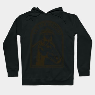 Horse Yay or Neigh Hoodie